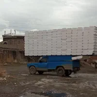 یونولیت