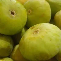 انجیر تازه سمنان