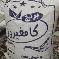 برنج کامفیروزی تازه