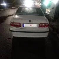 سمندمعمولی وبیرنگ کاملاسالم