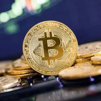 فقط با یک ثبتنام ساده تا 200 دلار جایزه ببر