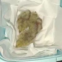 عروسک