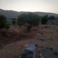 باغ