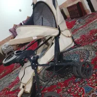 کالسکه