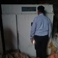 جوجه کشی ۲۷۰۰ تایی مرغ ۸۰۰۰ تابی بلدرچین و..|لوازم جانبی حیوانات|تهران, باغ فیض|دیوار