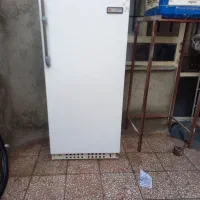 یخچال ایران پویا تمیز بدون پوسیدگی