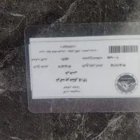 بلیت استخر صدرا