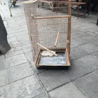 قفس پرندگان بزرگ ارتفاع بیشتر از ۱متر
