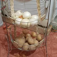 جاسیب زمینی و پیاز
