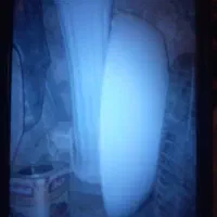 دستشور