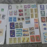 تمر کلکسیونی