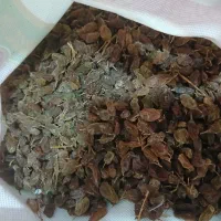کشمش شغاری