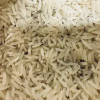 برنج درجه یک فجر طارم کاشت استان گلستان