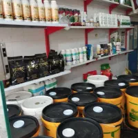 کود|خدمات باغبانی و درختکاری|دزفول, |دیوار