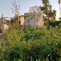 باغ مناسب سرمایه گذاری و تفریح