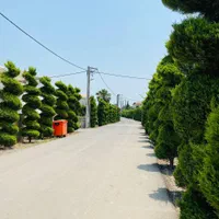 زمین برند ترین شهرک ۲۰۰و۳۰۰متر موجود امیراباد