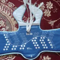 هوگو تکواندو