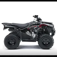 Kawasaki bruteforce 300