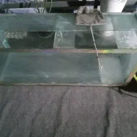 بدلیل نداشتن جا اکواریوم بفروش میرسد