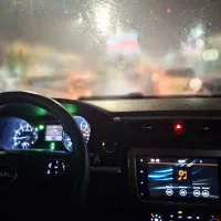 کی ام سی بالاستیگ جنگلی
