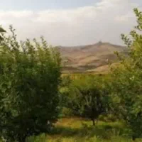 باغ کشاورزی درروستای چرمک ۱۰کیلومتری ساوه