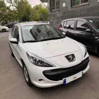 ۲۰۷ پانا دنده ۱۴۰۳ بی رنگ