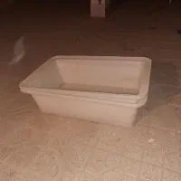 وان ماهی