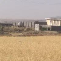 فروش زمین باغی شورین نزدیک به شهر دور پرباغ۷۱۰ متر