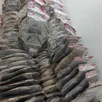 تولید پخش دمکنی،ابگیر،پیشبند،دستگیره