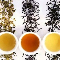 چای بهاره ممتاز