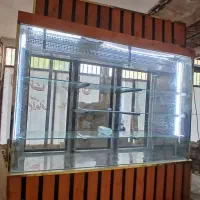 یخچال ویترینی