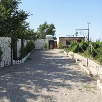 باغ انگور داربستی