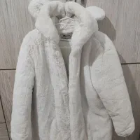 کت تدی
