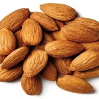 مغز بادام هندی پوست کاغذی