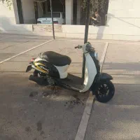 اسکوپی هوندا