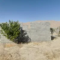 زمین-کشاورزی-با-موقعیت-خوب