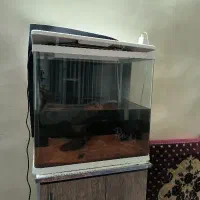 فروش آکواریوم شرکتی اکوا پک کامل