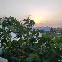 فروش زمین f2