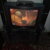 تلویزون