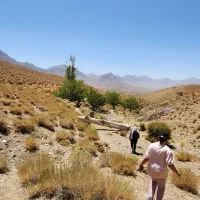 مزرعه می خوای از خانم سمیعی بخر