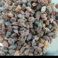 خشکبار تنقلاتی