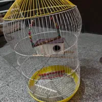 قفس پرنده
