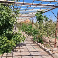 پرنیان سه فرزندی تحویل