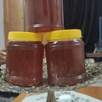 عسل طبیعی گشنیز۱۳۰۰