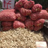 سیر همدان ارزان 140 ت