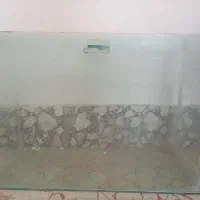 آکواریوم