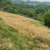 زمین با ویو جنگل، بالای تنگه لته