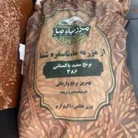 برنج مزرعه