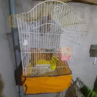 قفس باپرنده