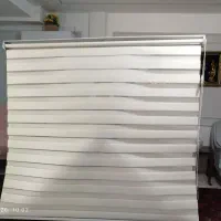 پردزبرا ترک در حد نو دوعدد
